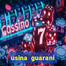 usina guarani tereos tanabi