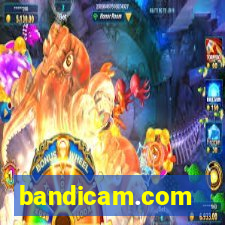 bandicam.com