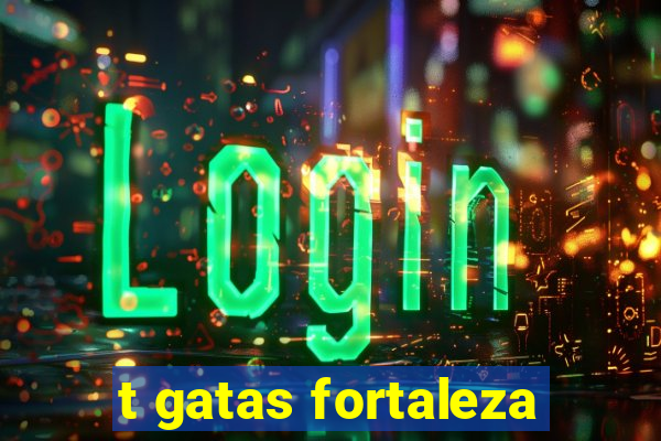 t gatas fortaleza