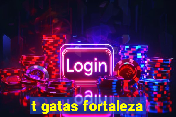 t gatas fortaleza