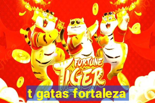 t gatas fortaleza