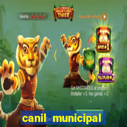 canil municipal porto alegre