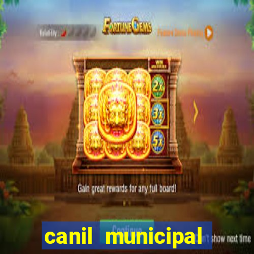 canil municipal porto alegre