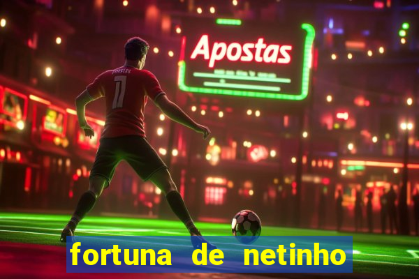 fortuna de netinho de paula