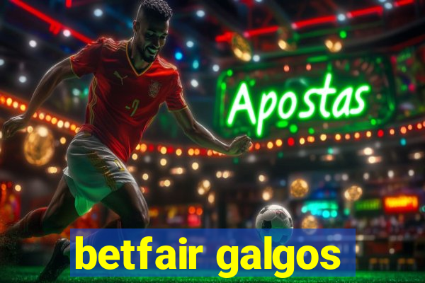 betfair galgos