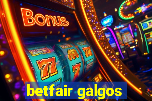 betfair galgos