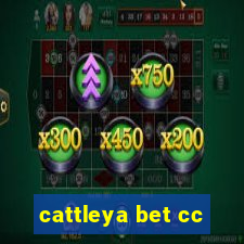 cattleya bet cc