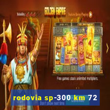 rodovia sp-300 km 72