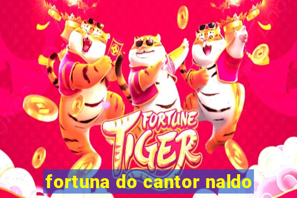 fortuna do cantor naldo