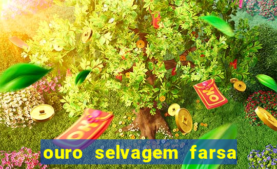 ouro selvagem farsa ouro selvagem o que aconteceu