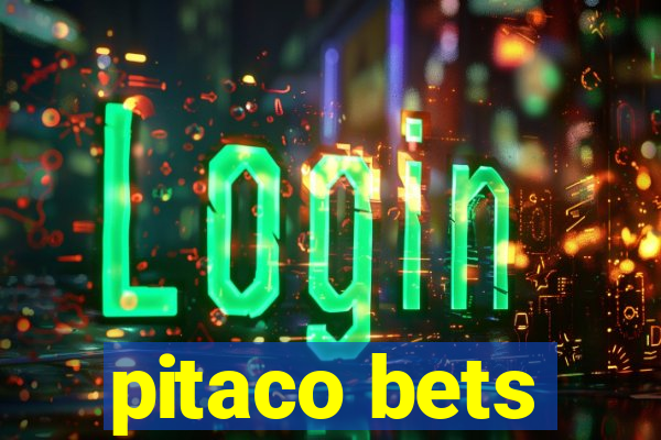 pitaco bets