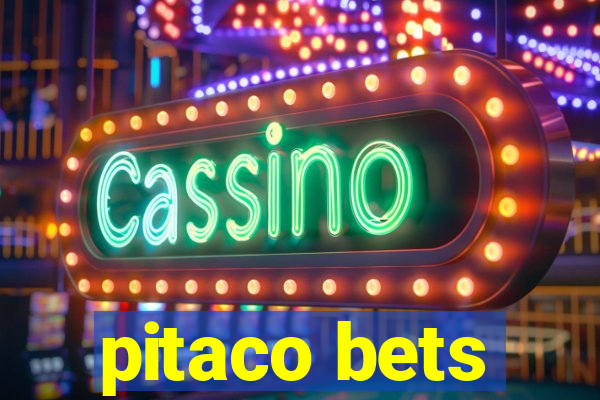 pitaco bets