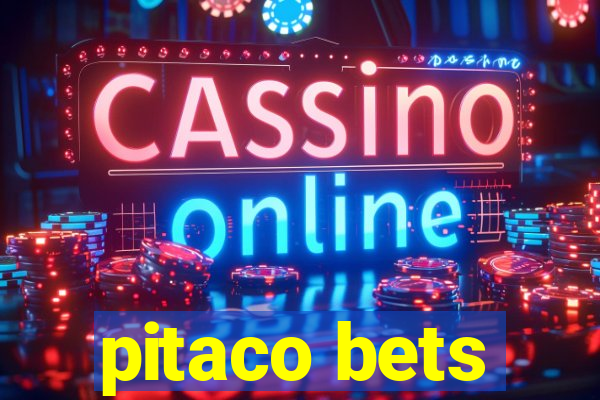 pitaco bets