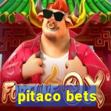 pitaco bets