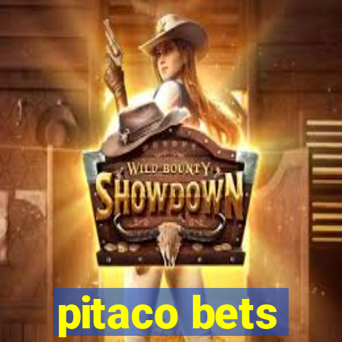 pitaco bets