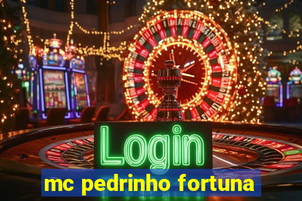 mc pedrinho fortuna