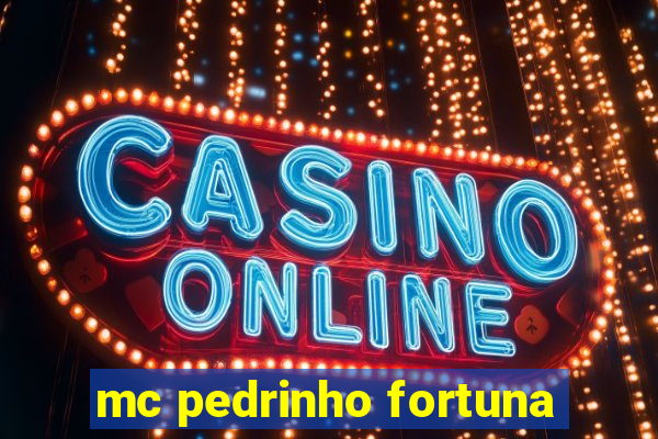 mc pedrinho fortuna