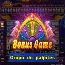 Grupo de palpites de futebol gratis