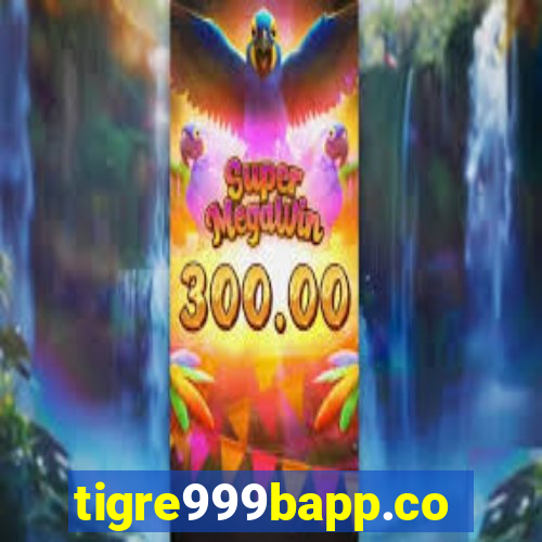 tigre999bapp.com