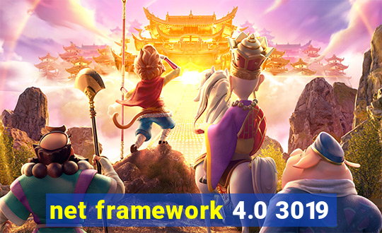 net framework 4.0 3019