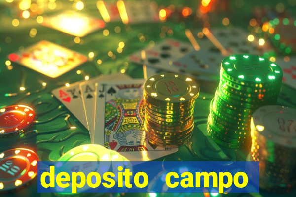 deposito campo grande santos