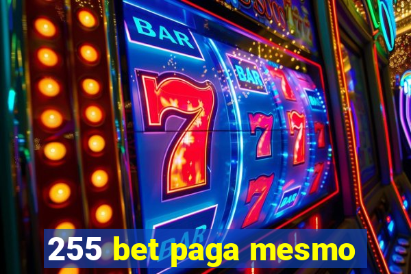 255 bet paga mesmo