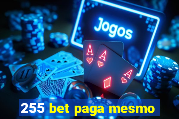 255 bet paga mesmo