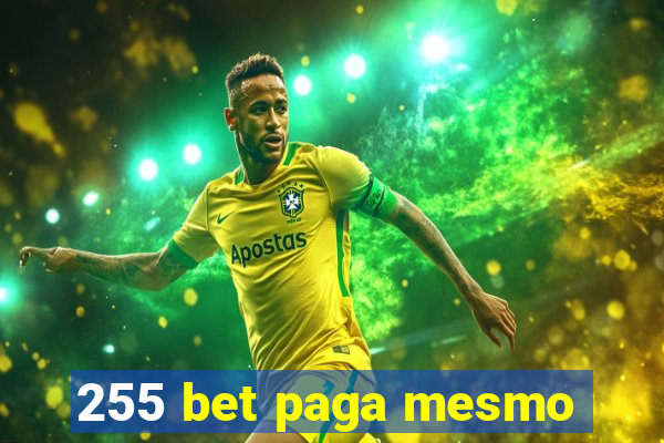 255 bet paga mesmo