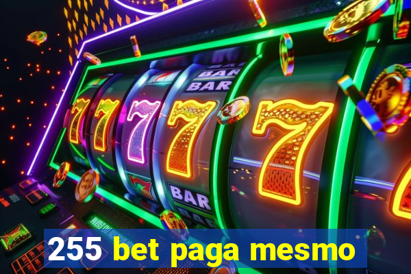 255 bet paga mesmo