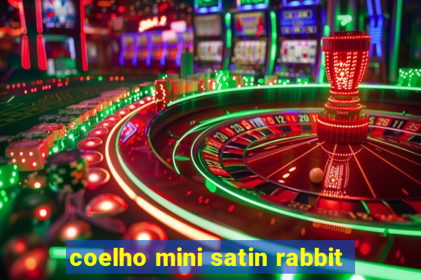 coelho mini satin rabbit