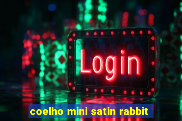 coelho mini satin rabbit