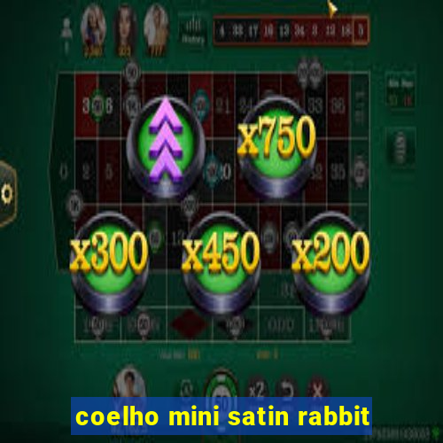 coelho mini satin rabbit