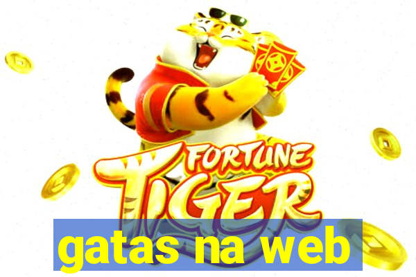 gatas na web