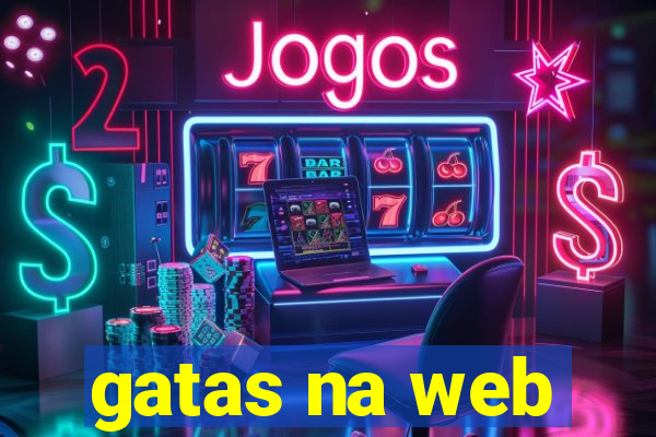 gatas na web