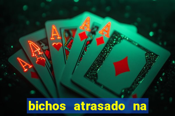 bichos atrasado na loteria dos sonhos