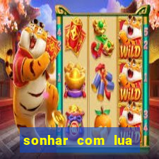 sonhar com lua jogo do bicho