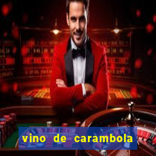 vino de carambola stardew valley